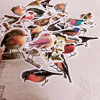 40 buc/Pack Cute Păsări din PVC Autocolant Impermeabil DIY Meșteșug Scrapbooking Album Jurnalul Planificator de Autocolante Decorative