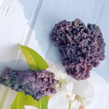 Violet De Struguri Agat Minerale-Specimen De Cristal Natural Piatra De Decor Acvariu Accesorii Pentru Casa