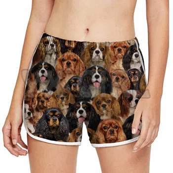 Veți obține o mulțime de Bull Terrier Femei pantaloni Scurți 3D Peste Tot Imprimate pantaloni Scurți Uscare Rapidă pantaloni Scurți de Plajă de Vară, Plajă, Înot Trunchiuri