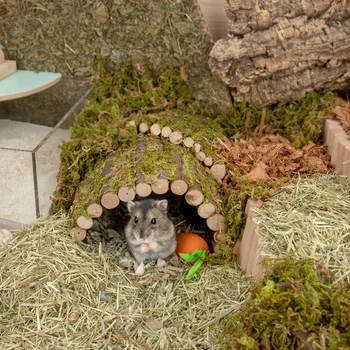 Hamster Naturale Arbust De Evacuare A Canalului De Arc De Pod Scara De Slefuire Jucărie De Amenajare A Teritoriului Consumabile