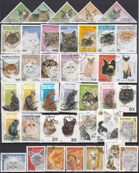 50 BUC / lot Subiect diferit de Animale Pisica Neutilizate Timbre Poștale Cu timbru De Colectare poștale stampel
