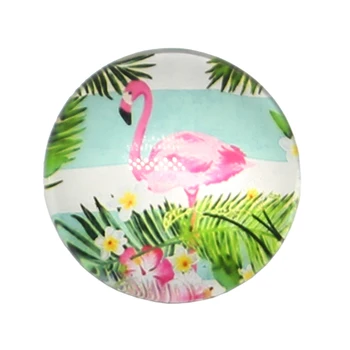 10buc/lot Nou de Moda 25mm Rotund Amestecat Flamingo Macara Barza de nucă de Cocos DIY Cabochon de Sticlă Amestecată Modele se Potrivesc Cameo Setarea de Bază