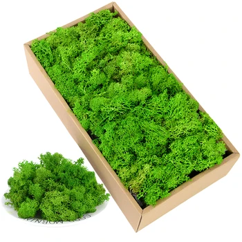 40g de Simulare Artificiala Verde Mușchi Viața Veșnică Moss Iarbă Fals Plante Pentru Home Decor de Perete Grădină Micro Peisaj Cadou Material