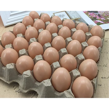 Fals Ouă De Găină Carne De Pasăre Simulare Artificială Trapa De Incubație Pentru Reproducție Ouă Din Lemn De Cauciuc Jucărie Ou De Animale De Fermă Furnizori