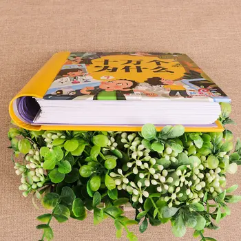 Copii de popularizare a Științei Cărți Chinezești Frumos Pictate Ediție Fonetic Ediție pentru Copii Popular Science Enciclopedia