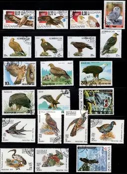 50Pcs/Mulțime de Păsări de Pradă-Vultur Timbru Subiect Diferite Din mai Multe Țări NU Repeta Timbre Poștale cu timbru de Colectare